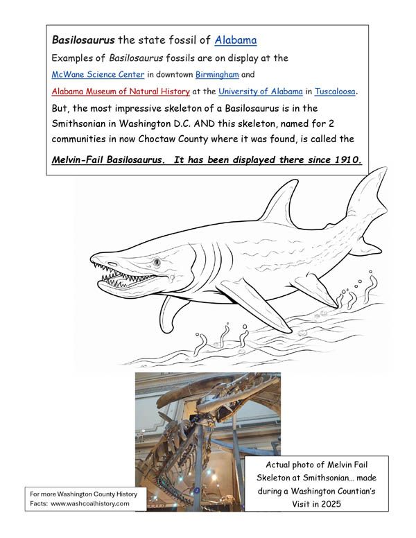 Basilosaurus